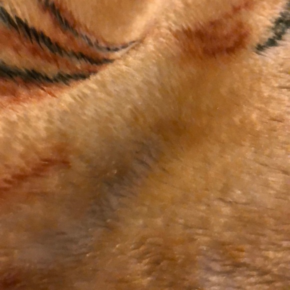 Meet your Posher, L - Picture 1 of 1